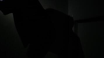 Silhouette of Intimacy in Shadows video