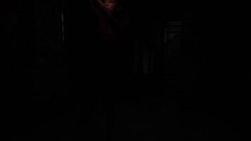 Eerie Dimly Lit Hallway with Shadowy Figure video