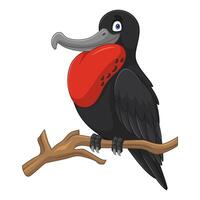 Cartoon frigatebird isolated on white background vector
