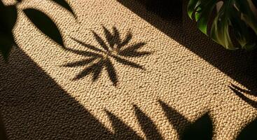 Shadow of a plant on a carpet photo