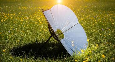 A solar panel in a field with flowers photo