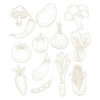 Vegetables Lineart Collection Flat Design Cartoon Illustration vector