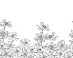 Hand Drawn Jasmine Flower Background vector