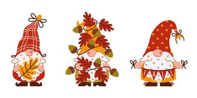 Three cute autumn gnomes illustration vector