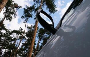 Bottom view of a car mirror in the middle of tall pines photo