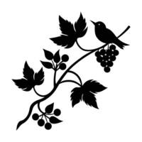 bird on branch with grapes and berries vector