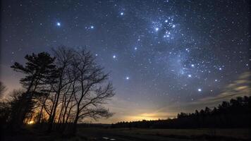 The constellation of the orion, the hunter, is seen above the trees photo