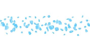 Realistic blue rose petals border banner seamless horizontal. flower petal floating decoration festive graphic vector