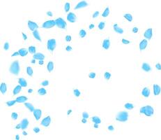 Curve swirl line illustration with rose petals blue color for Father day, wedding invitation vector