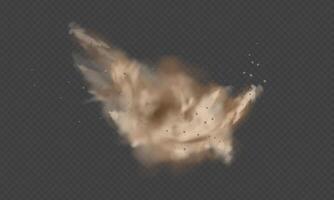 Realistic Dust Explosion and Powder Burst on Transparent Background vector