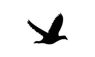 Flying American coot bird black Silhouette Design And Illustration. vector