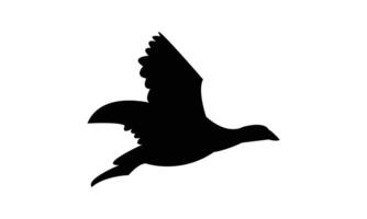 Flying American coot bird black Silhouette Design vector
