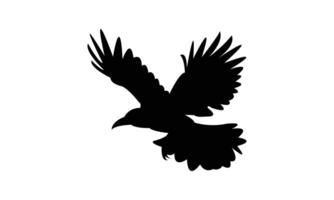 Flying American crow bird Silhouette Design vector