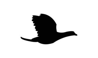 Flying American coot black Silhouette Design And Illustration. vector