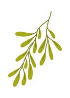 Olive oil branch flat icon Tree for preservation vector