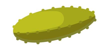 Pickles flat icon Small cucumber Canned vegetable vector