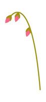 Beautiful summer flower flat icon Unopened pink bud vector