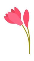 Beautiful pink tulip flat icon Spring garden flower vector
