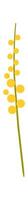 Yellow wildflower flat icon Beautiful flowers vector