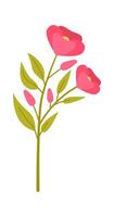 Beautiful pink rose flat icon Spring garden flower vector