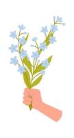 Beautiful summer blue wildflowers flat icon Bellflower bouquet vector