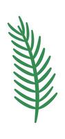 Fir flat icon Evergreen Christmas plants decorations vector