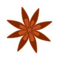 Star anise spice for mulled wine flat icon Ingredients Illustration vector