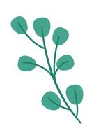 Christmas plant decorations flat icon Evergreen leaf vector