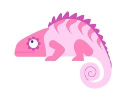 Exotic wild animal flat icon Chameleon with Pink skin vector