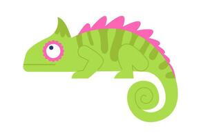 Madagascar exotic flat icon Chameleon change color vector