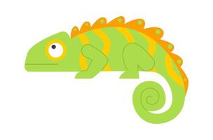 Exotic chameleon with green skin flat icon Wildlife vector