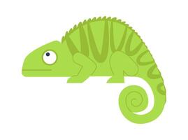 Green iguana flat icon Exotic chameleons Wildlife vector
