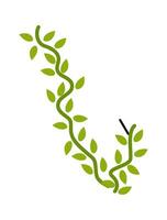 Liana flat icon Evergreen plant in jungle vector