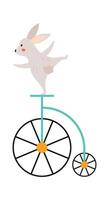 Wild animal on bike flat icon Funny bunny Circus vector