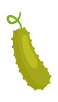 Cucumber flat icon Vegetable on fork Diet Balanced nutrition vector
