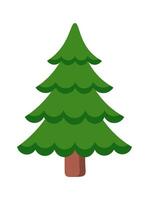 Evergreen Christmas tree flat icon Coniferous forest vector