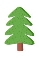 Ceder Christmas tree flat icon Coniferous forest vector