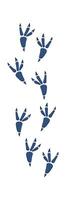 Wild animal footprint flat icon Steps and trails Illustration Icon vector