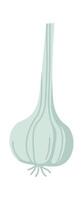 Garlic flat icon Ukrainian borscht ingredient Fragrant spices vector