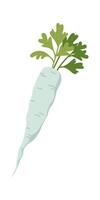 Parsley flat icon Green decor for borscht vector