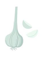 Garlic flat icon Ukrainian borscht ingredient Fragrant spices Illustration vector
