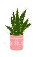Christmas cactus in pot flat icon House decor element vector