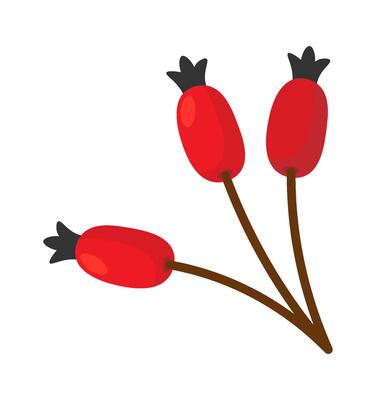Three dog-rose fruit flat icon Christmas plants decorations element