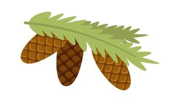 Fir with cones flat icon Evergreen christmas plants decorations vector