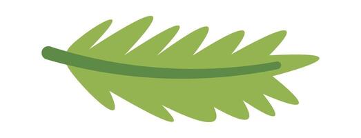 Winter decoration flat icon Evergreen brunch for decor vector