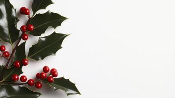 Festive holly leaves and glossy red berries framing a crisp photo