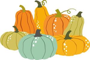 Colorful pumpkins in various shapes and sizes vector