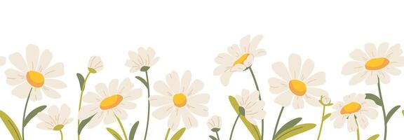 Floral frame, frame with daisies on white background. Spring botanical pattern with flat flowers. horizontal panorama with chamomiles vector