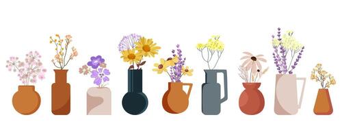 Colorful flower vases arrangement vector