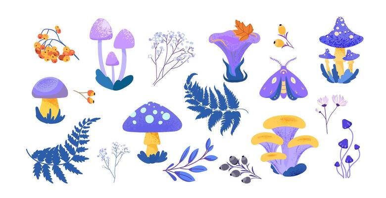 Forest elements set with different types of mushrooms leaves ferns berries flowers and moth in flat style, for botanical illustrations greeting cards stickers patterns prints digital design .